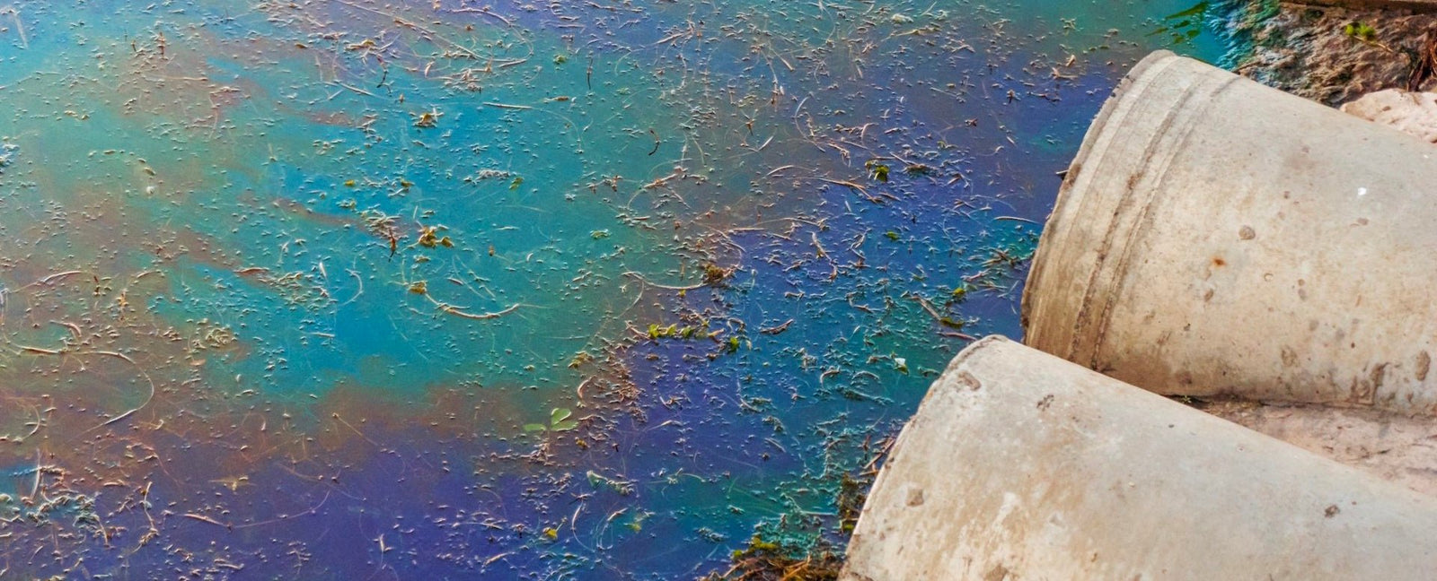 Deep Dive Into Water Contaminants - IF Water