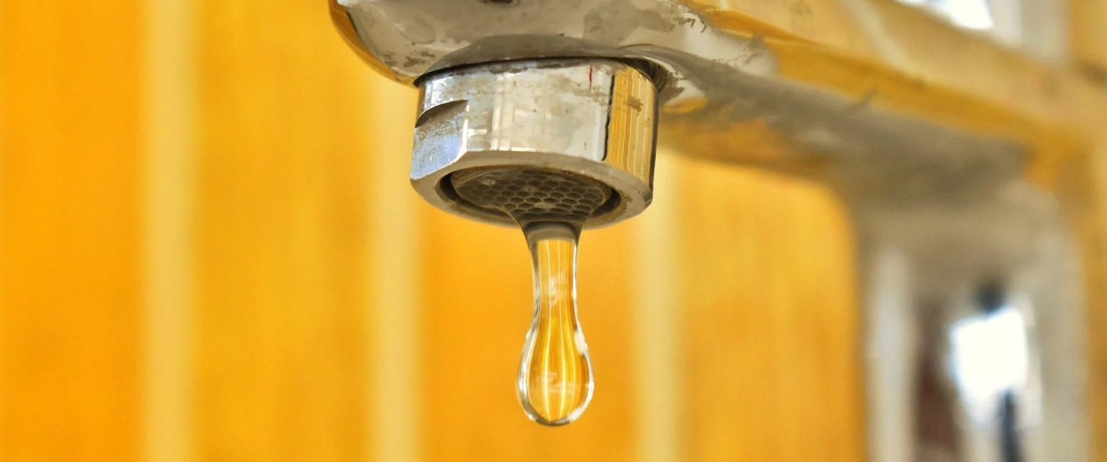 What’s in Tap Water? - IF Water