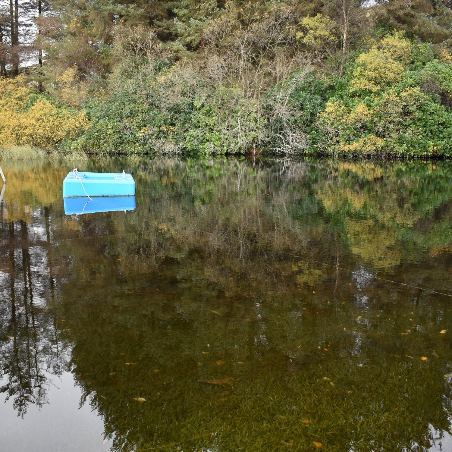Floating water intake on the peaty loch with autumn reflections