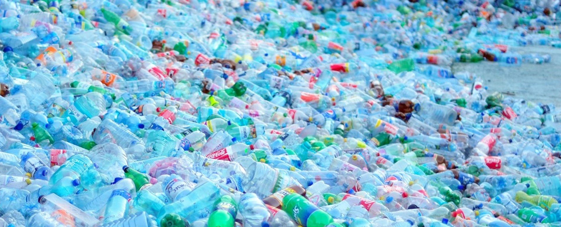 Is a Plastic-Free World Possible? - IF Water