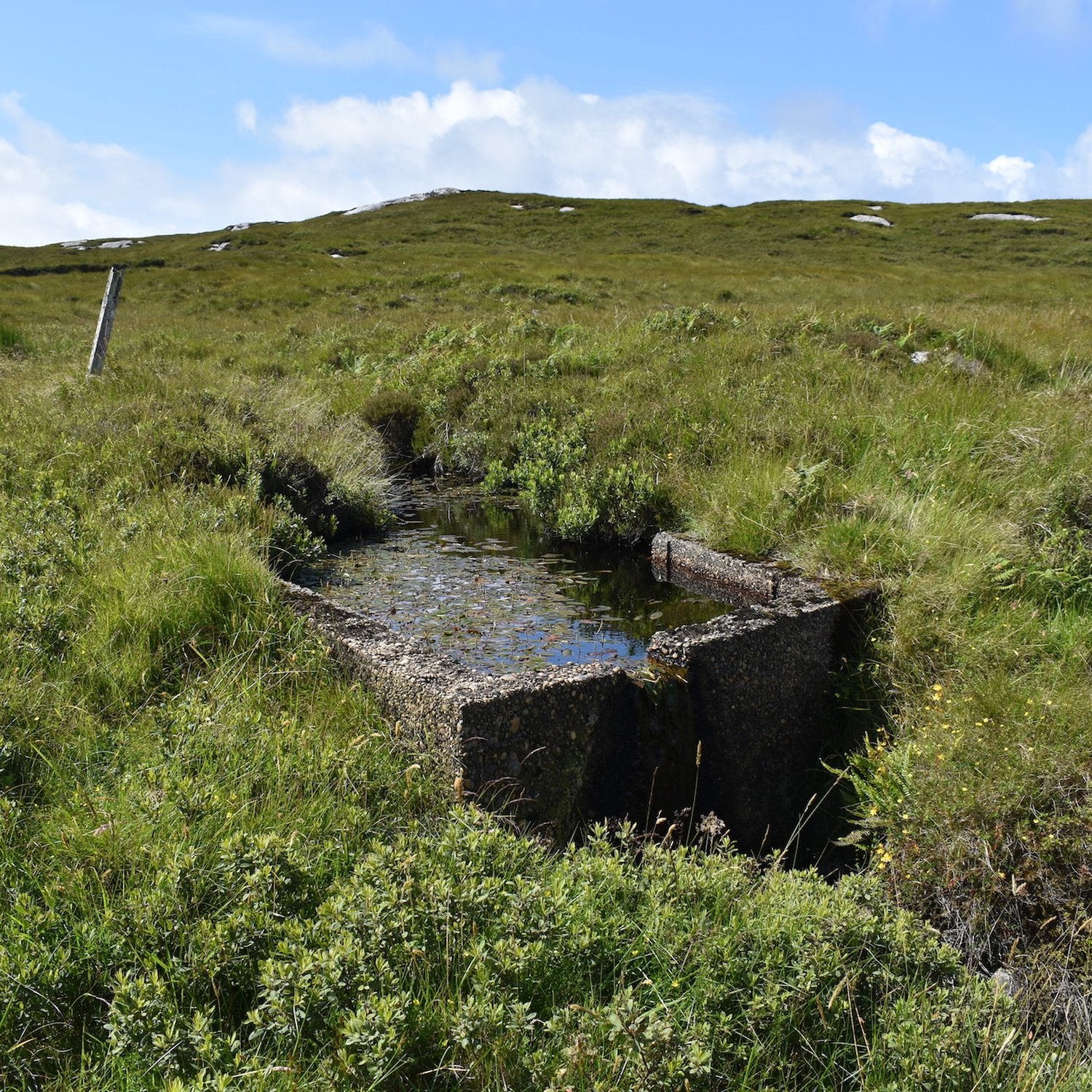 Private water supply intake chamber on Hebridean moorland