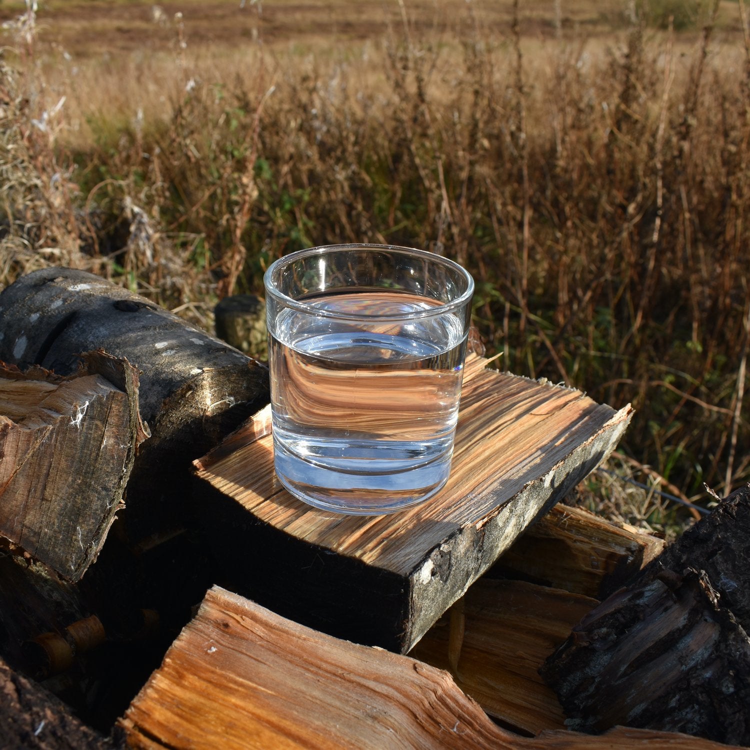 Glass of clear purified loch water on a log pile